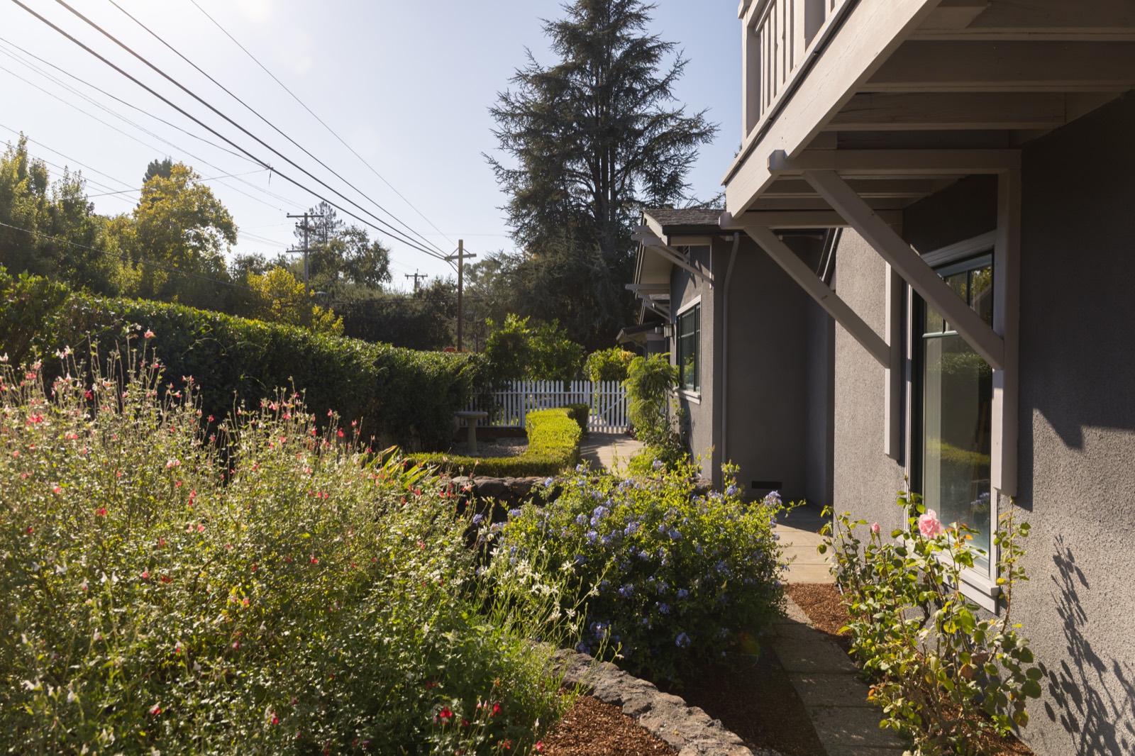 Private garden with flowering plants along the side of the house